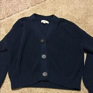 LOFT Blue Chunky Knit Cardigan